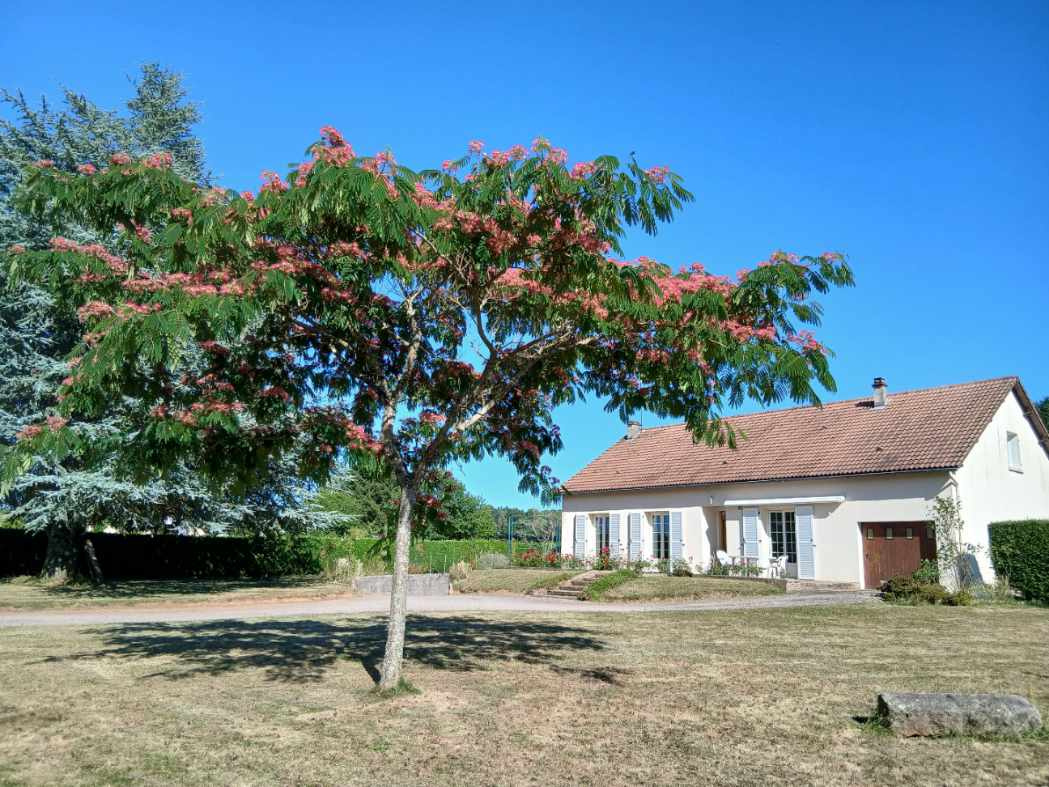 Agence immobilière de agence LAURAINE