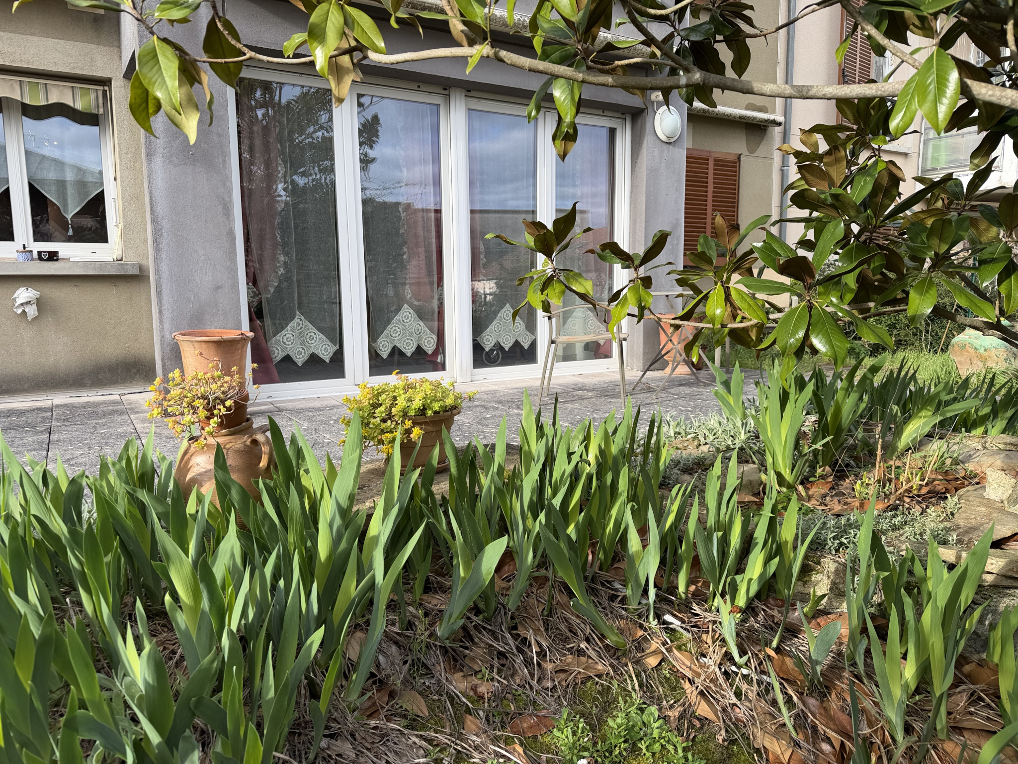 Agence immobilière de agence LAURAINE