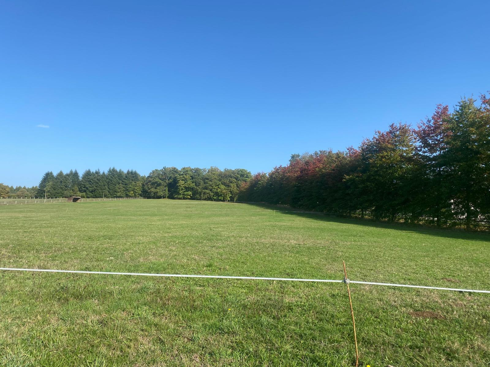 Agence immobilière de agence LAURAINE