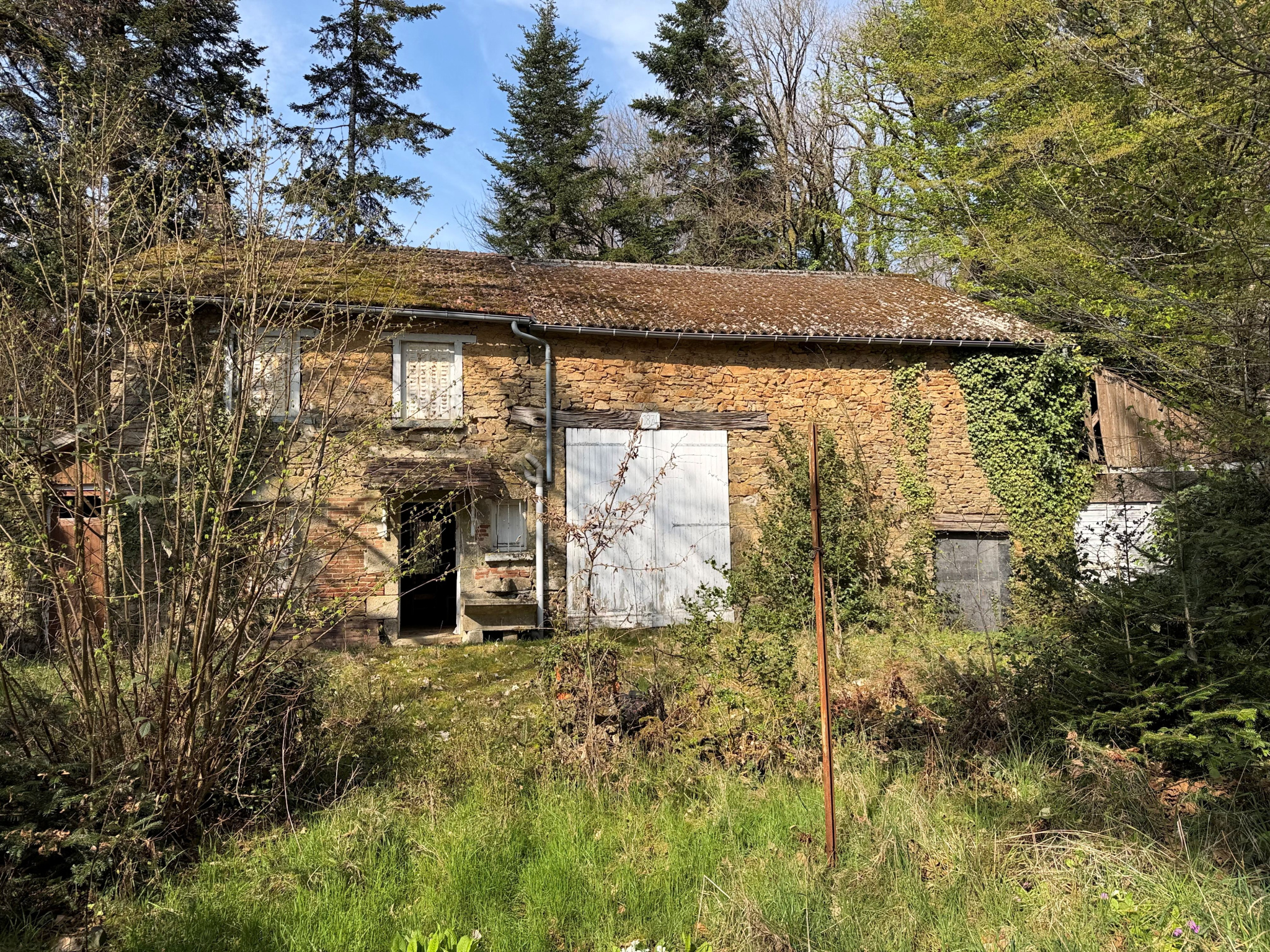 Agence immobilière de agence LAURAINE