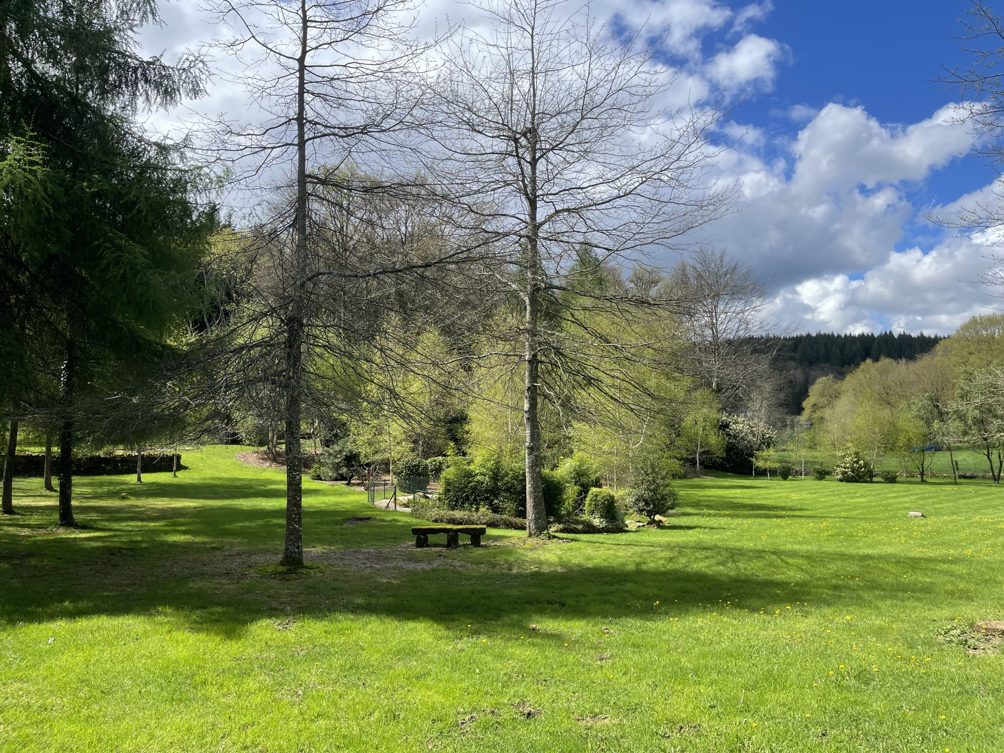 Agence immobilière de agence LAURAINE